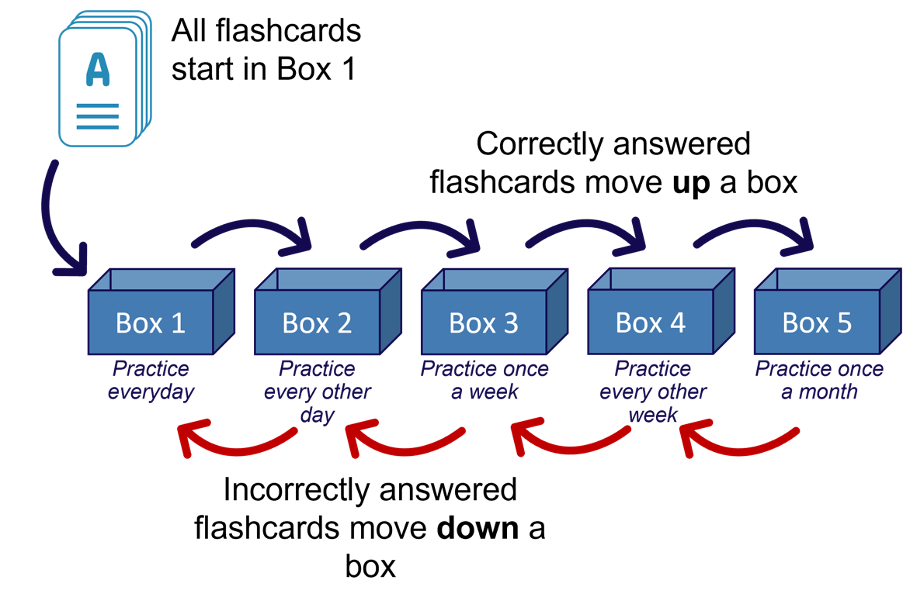 Leitner&rsquo;s Flashcard implementation of spaced repetition; visual representation of flashcards correctly answered being moved up a box and incorrectly answered being moved down a box. There are 5 boxes.